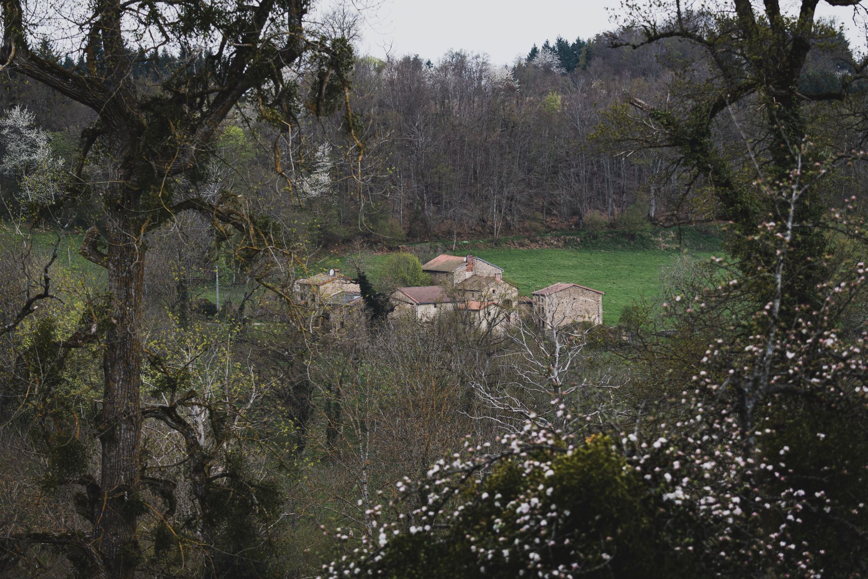 Une nouvelle lecture de la France rurale de France